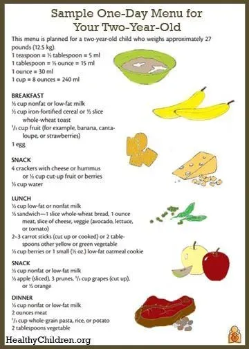 Building Blocks for a Healthy Meal Plan for 2 Year Old