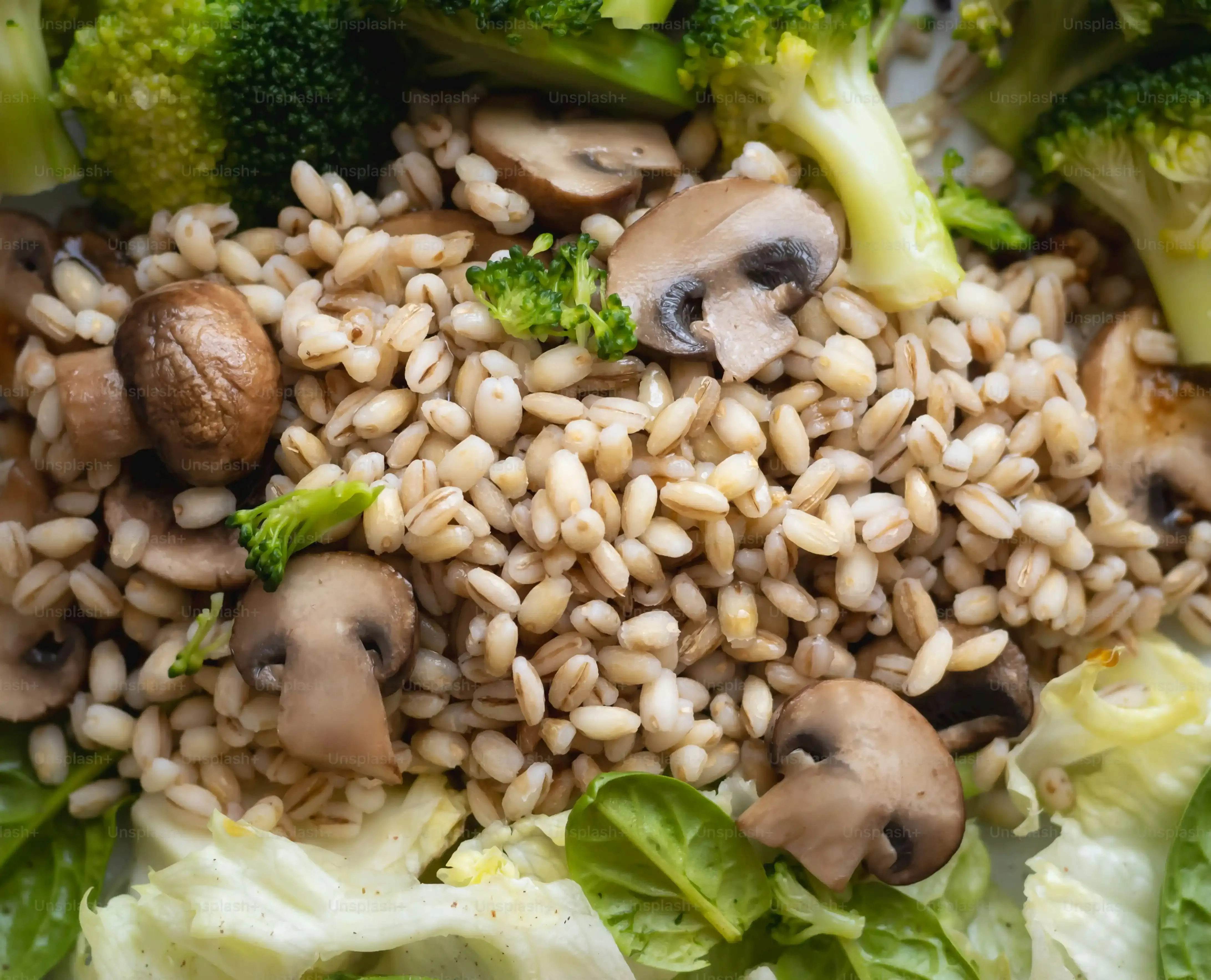 Executing Your High Protein Low Carb Meal Prep Plan
