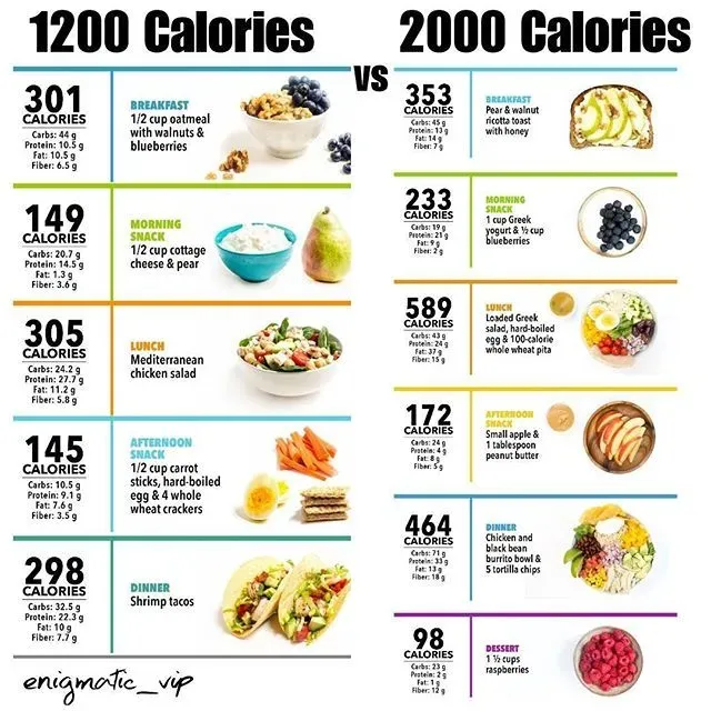Sample Day: What a Healthy Meal Plan for 2000 Calories Looks Like