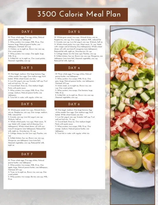 Sample Healthy Meal Plan for 3500 Calories a Day: A Day in the Life
